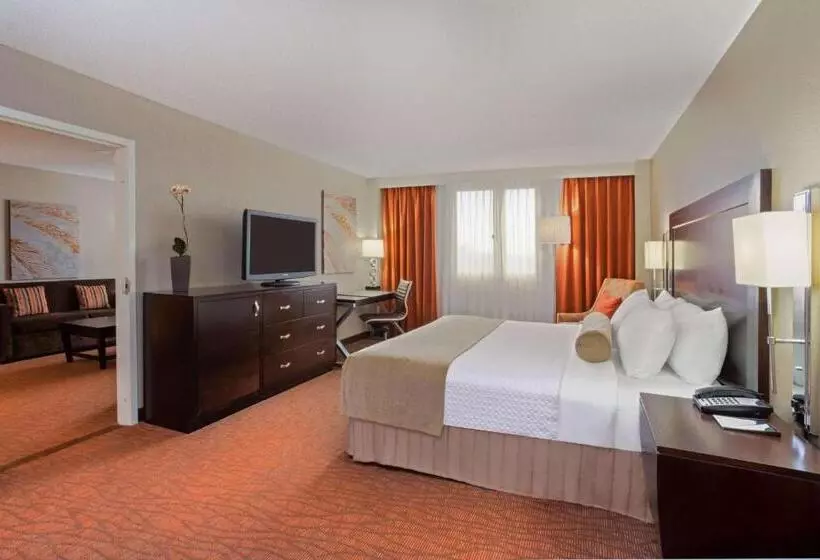 キングサイズベッドのデラックスルーム, Sonesta Miami Airport