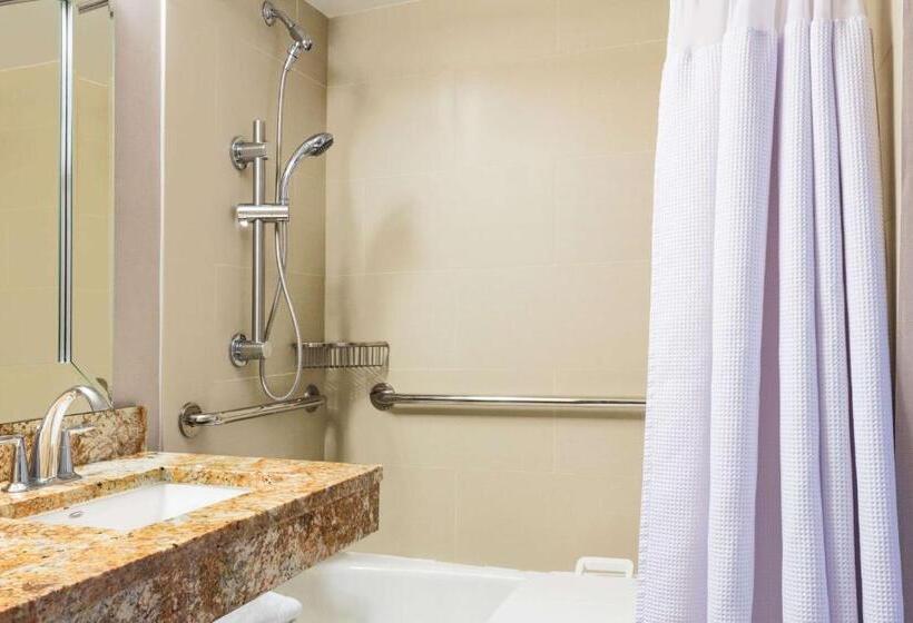 غرفة ديلوكس, Sonesta Miami Airport