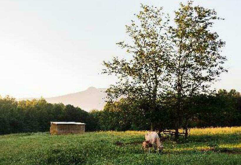 Четырехместный Номер Стандарт, A Mighty Oak B&b