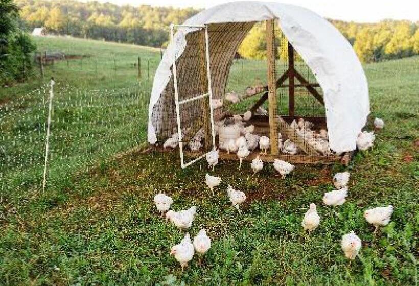 Номер Стандарт Трехместный, A Mighty Oak B&b