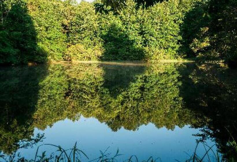 Номер Стандарт Трехместный, A Mighty Oak B&b