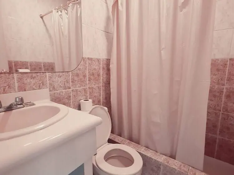 اتاق خانوادگی, Chat Noir Cuenca