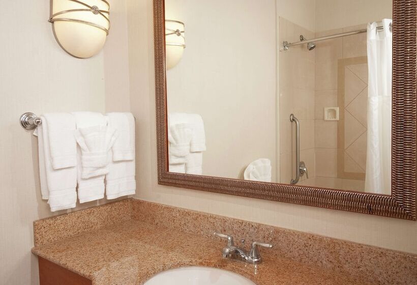 Номер Стандарт, Hilton Garden Inn Atlanta Airport/millenium Center