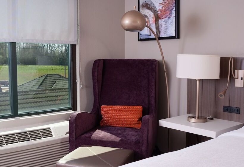 Номер Стандарт, Hilton Garden Inn Atlanta Airport/millenium Center