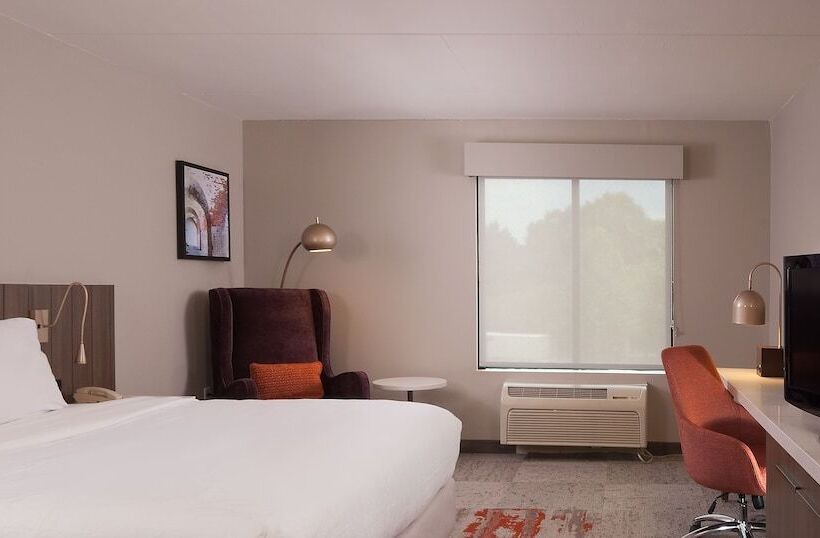 Номер Стандарт, Hilton Garden Inn Atlanta Airport/millenium Center