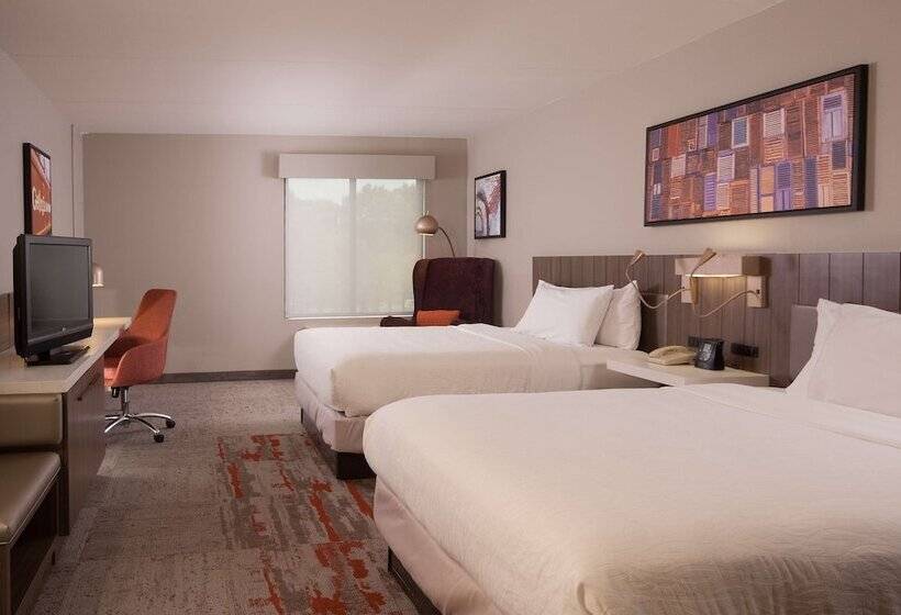 Номер Стандарт, Hilton Garden Inn Atlanta Airport/millenium Center