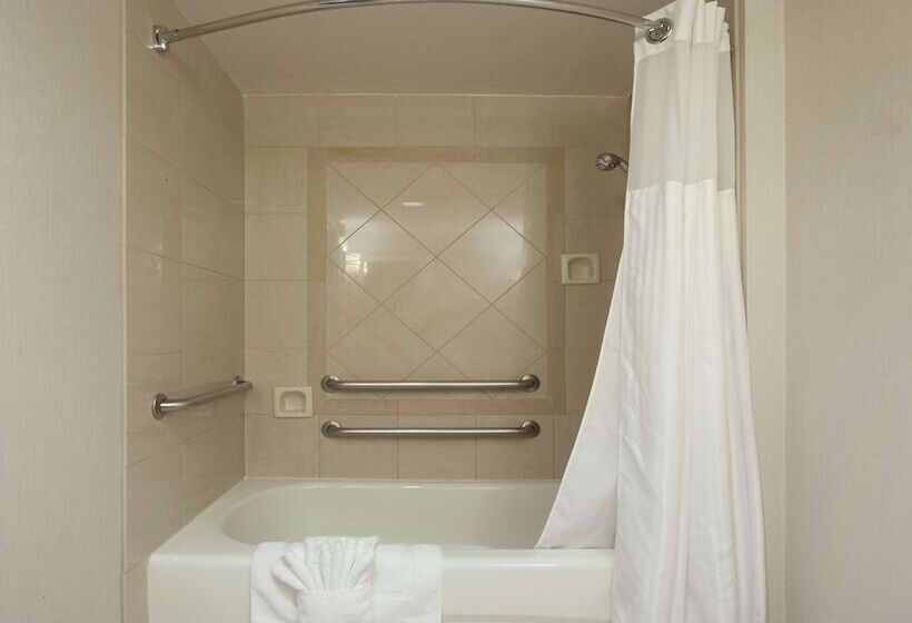 Номер Стандарт, Hilton Garden Inn Atlanta Airport/millenium Center