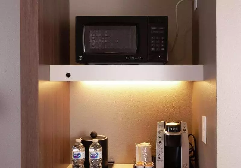 اتاق استاندارد با تخت بزرگ, Hilton Garden Inn Atlanta Airport/millenium Center