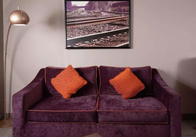 اتاق استاندارد با تخت بزرگ, Hilton Garden Inn Atlanta Airport/millenium Center
