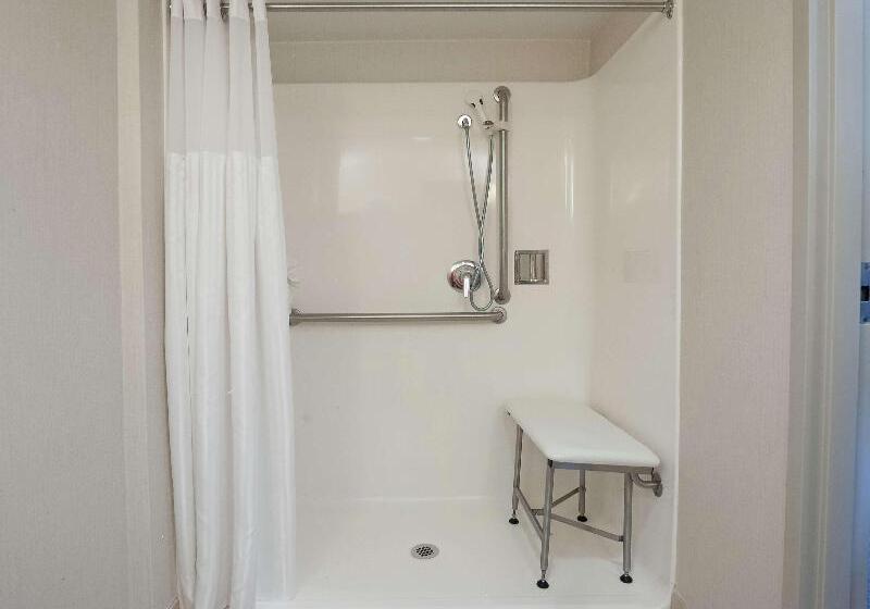 Стандартный Номер Кровать Кинг, Hilton Garden Inn Atlanta Airport/millenium Center