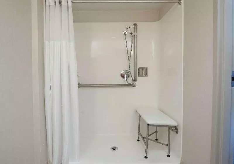 اتاق استاندارد با تخت بزرگ, Hilton Garden Inn Atlanta Airport/millenium Center