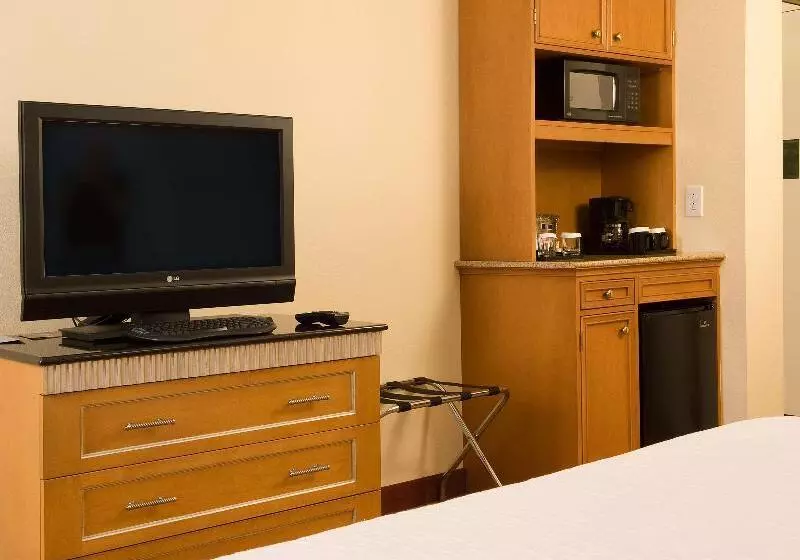 اتاق استاندارد با تخت بزرگ, Hilton Garden Inn Atlanta Airport/millenium Center