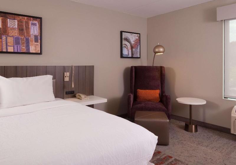 Стандартный Номер Кровать Кинг, Hilton Garden Inn Atlanta Airport/millenium Center