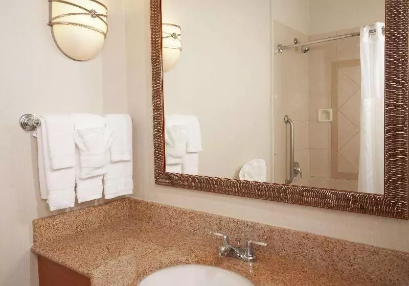 سوئیت جونیور با تخت بزرگ, Hilton Garden Inn Atlanta Airport/millenium Center