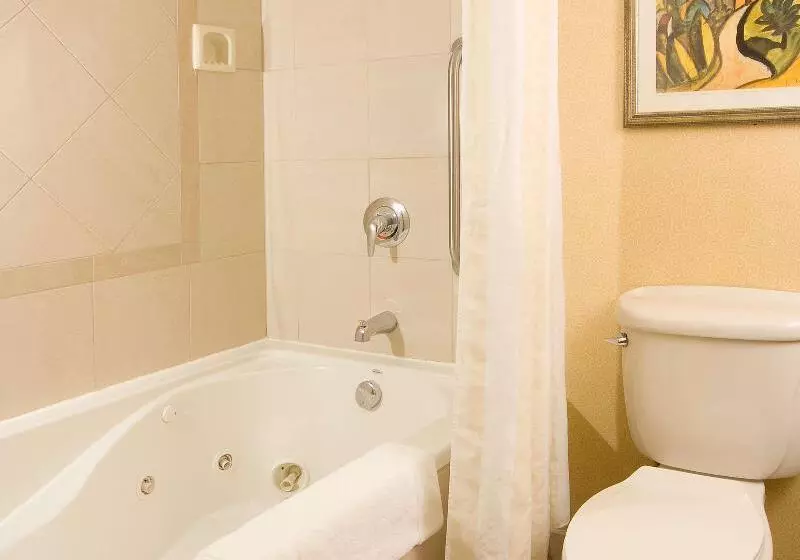 سوئیت جونیور با تخت بزرگ, Hilton Garden Inn Atlanta Airport/millenium Center