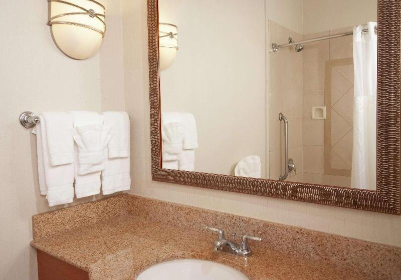 Стандартный Номер Кровать Кинг, Hilton Garden Inn Atlanta Airport/millenium Center