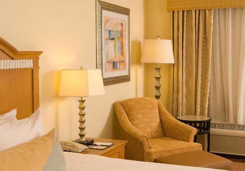 Стандартный Номер Кровать Кинг, Hilton Garden Inn Atlanta Airport/millenium Center