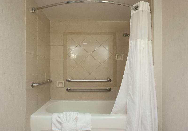 Стандартный Номер Кровать Кинг, Hilton Garden Inn Atlanta Airport/millenium Center