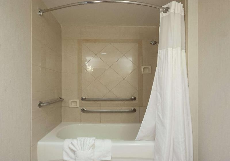 Стандартный Номер Кровать Кинг, Hilton Garden Inn Atlanta Airport/millenium Center