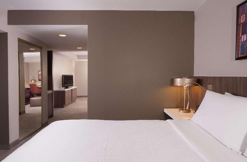 Полулюкс Кровать Кинг, Hilton Garden Inn Atlanta Airport/millenium Center