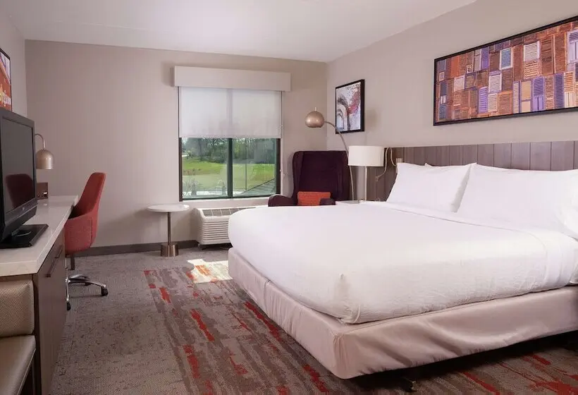اتاق استاندارد, Hilton Garden Inn Atlanta Airport/millenium Center