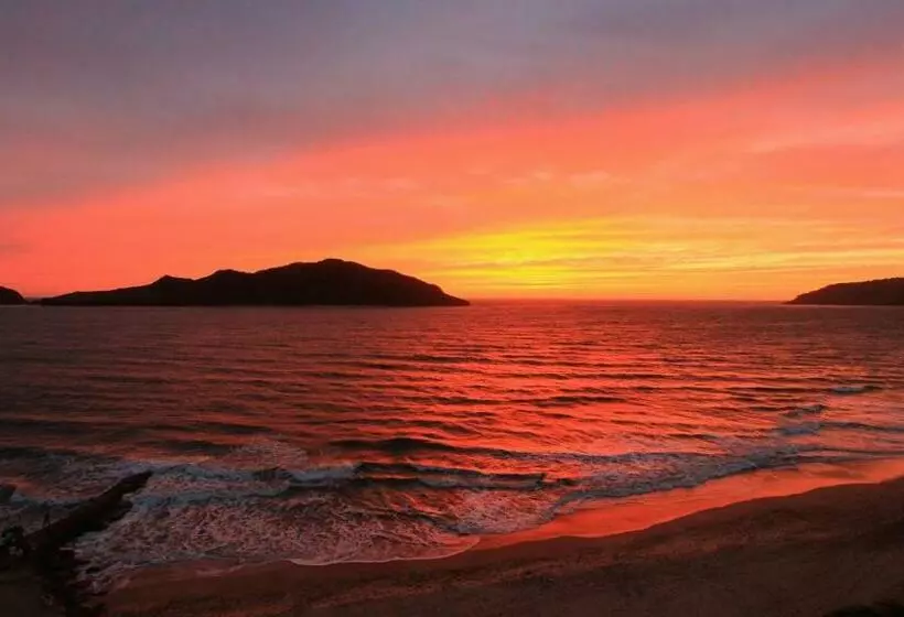 سوییت با چشم‌انداز دریا, Las Flores Beach Resort