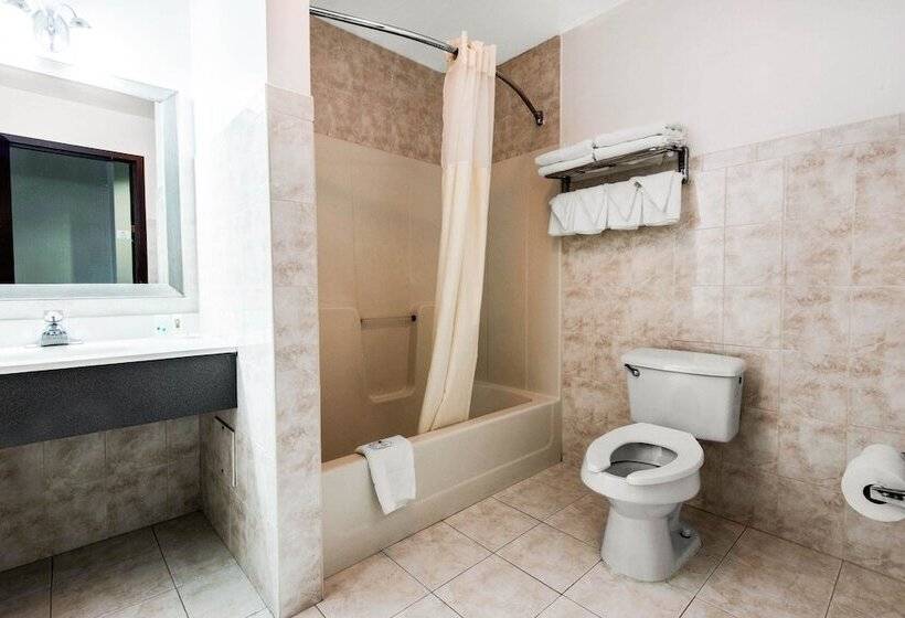 اتاق استاندارد با 2 تخت دوبل, Quality Inn   Niagara Falls Blvd
