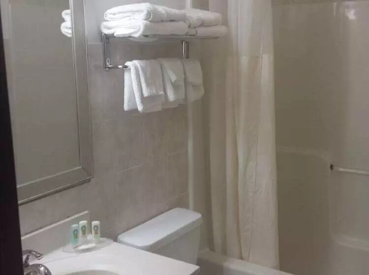اتاق استاندارد با 2 تخت دوبل, Quality Inn   Niagara Falls Blvd