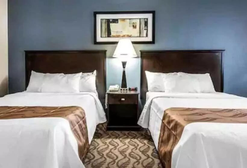 اتاق استاندارد با 2 تخت دوبل, Quality Inn   Niagara Falls Blvd