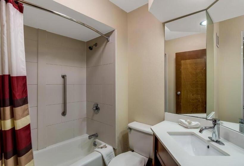 اتاق سوپریور با تخت بزرگ, Red Roof Inn Nashville  Music City