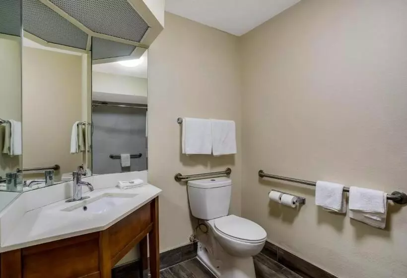障害者適応デラックスルーム, Red Roof Inn Nashville  Music City