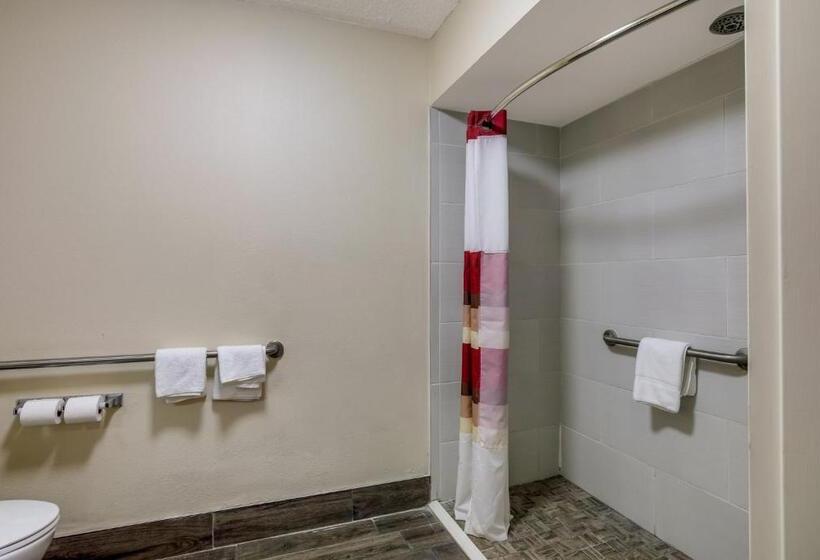 اتاق دلوکس مخصوص معلولین, Red Roof Inn Nashville  Music City