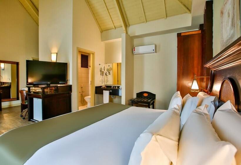 Номер Стандарт, Transamerica Executive Curitiba Batel