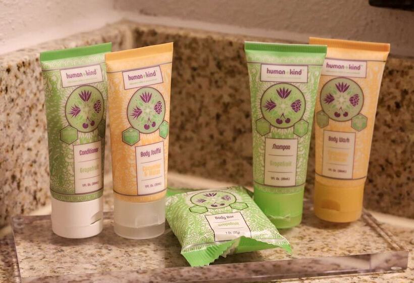 스탠다드 룸 더블 침대 2개, Wyndham Houston Near Nrg Park   Medical Center