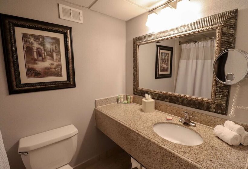 스탠다드 룸 더블 침대 2개, Wyndham Houston Near Nrg Park   Medical Center