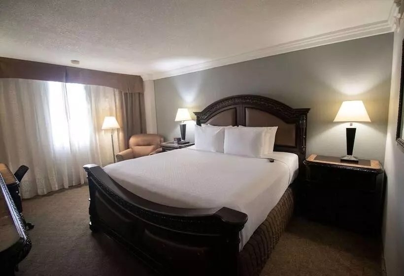 エクゼクティブルーム, Wyndham Houston Near Nrg Park   Medical Center