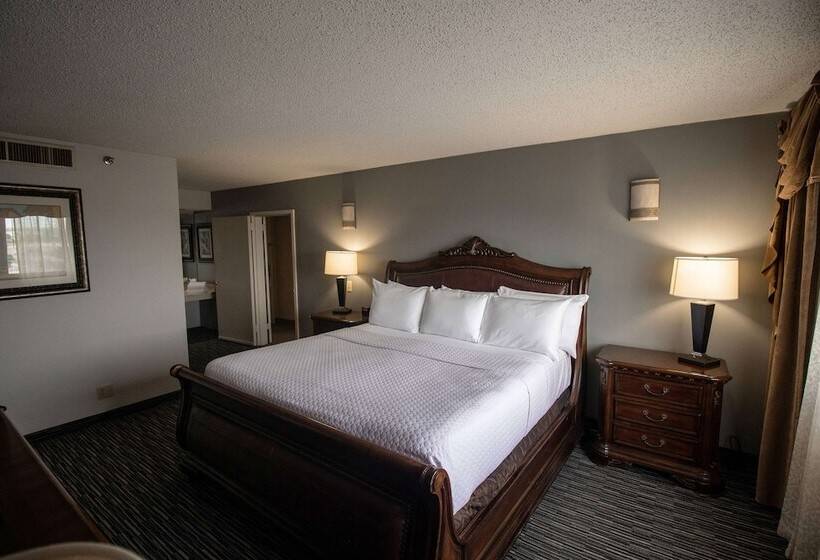行政房间, Wyndham Houston Near Nrg Park   Medical Center