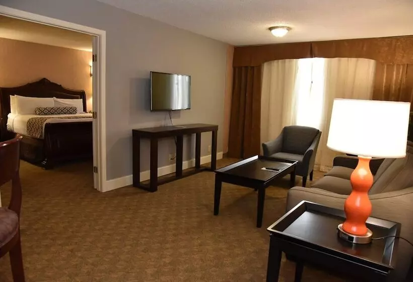 スイート, Wyndham Houston Near Nrg Park   Medical Center
