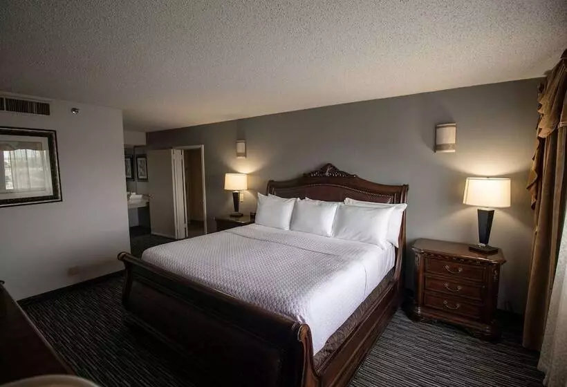 スイート, Wyndham Houston Near Nrg Park   Medical Center