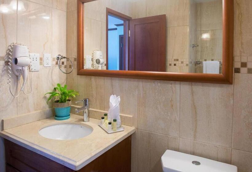 استودیو لوکس با چشمانداز دریا, Yellow Bird