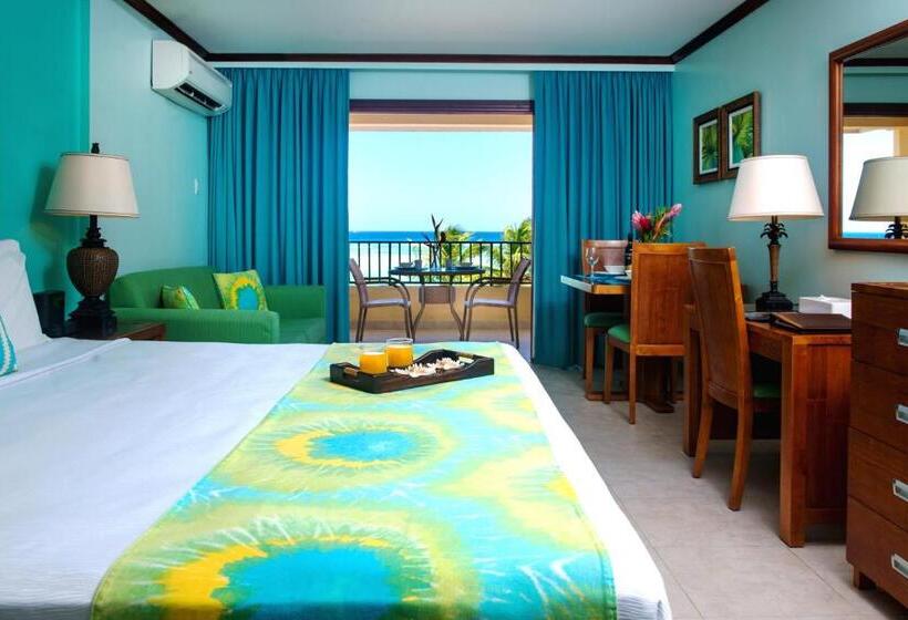 استودیو لوکس با چشمانداز دریا, Yellow Bird