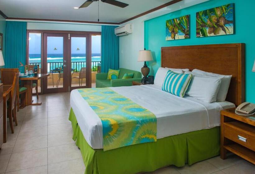 استودیو لوکس با چشمانداز دریا, Yellow Bird