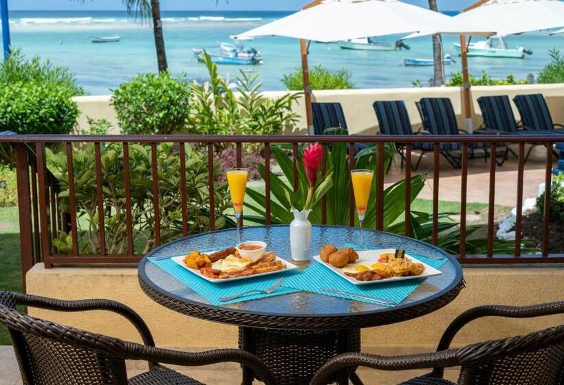 استودیو لوکس با چشمانداز دریا, Yellow Bird