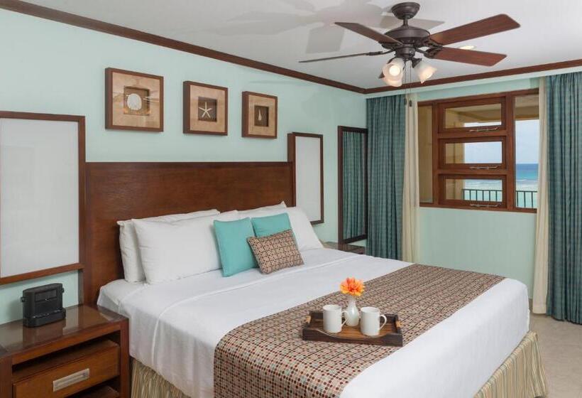 سوئیت پنت هاوس, Yellow Bird