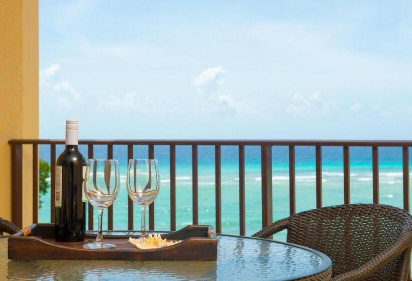 سوئیت پنت هاوس, Yellow Bird