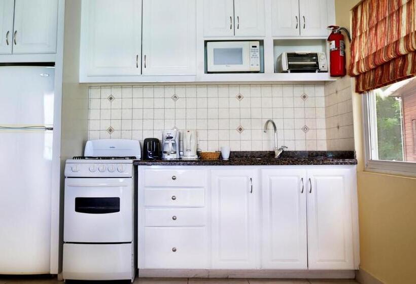 سوییت با چشمانداز دریا, Yellow Bird