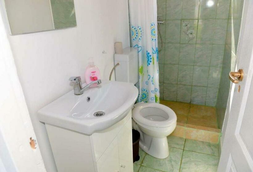 침실 1개 주택, Pensiunea Alessia Murighiol