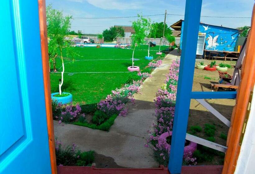 침실 1개 주택, Pensiunea Alessia Murighiol