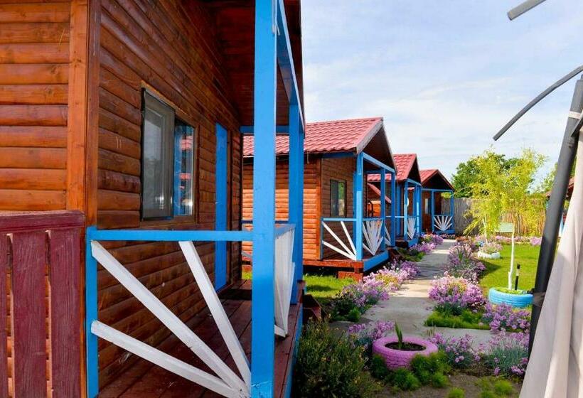 침실 1개 주택, Pensiunea Alessia Murighiol