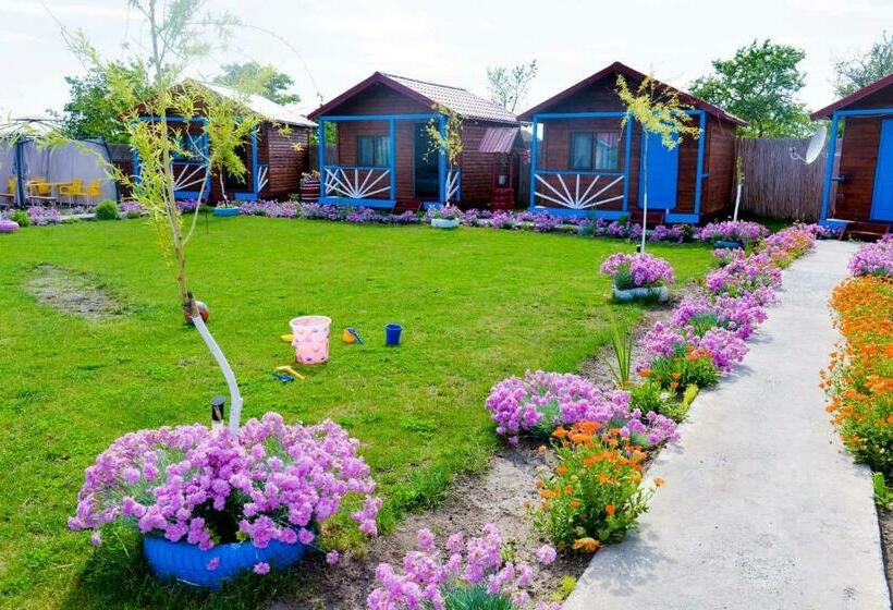 침실 1개 주택, Pensiunea Alessia Murighiol